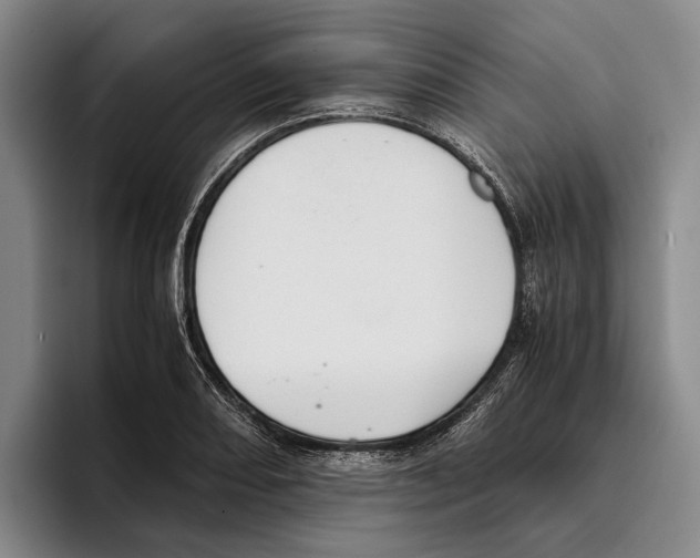 X0000096141082200802151329
