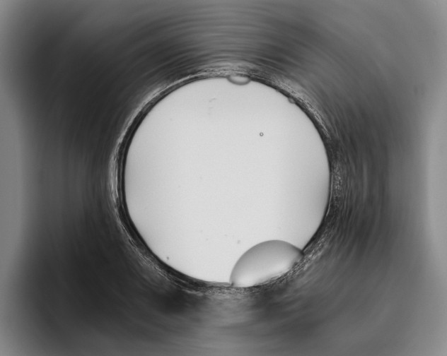 X0000096141083200802151329