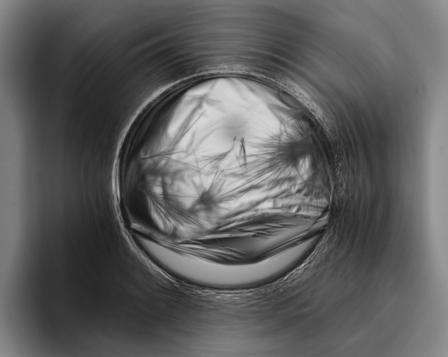 X0000096141084200802151329