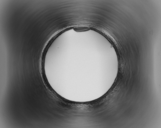 X0000096141085200802151329