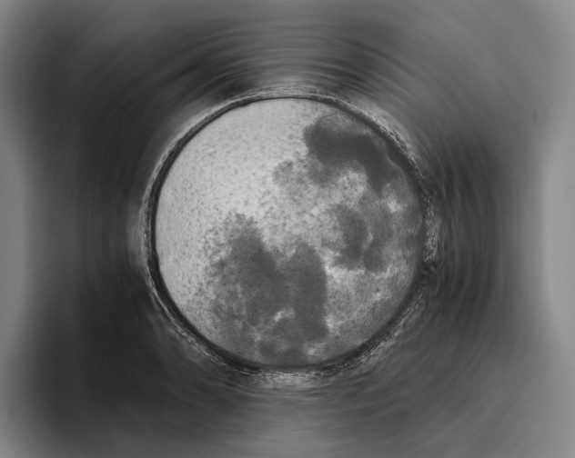 X0000096141086200802151329