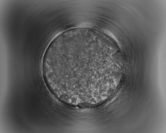 X0000096141087200802151329