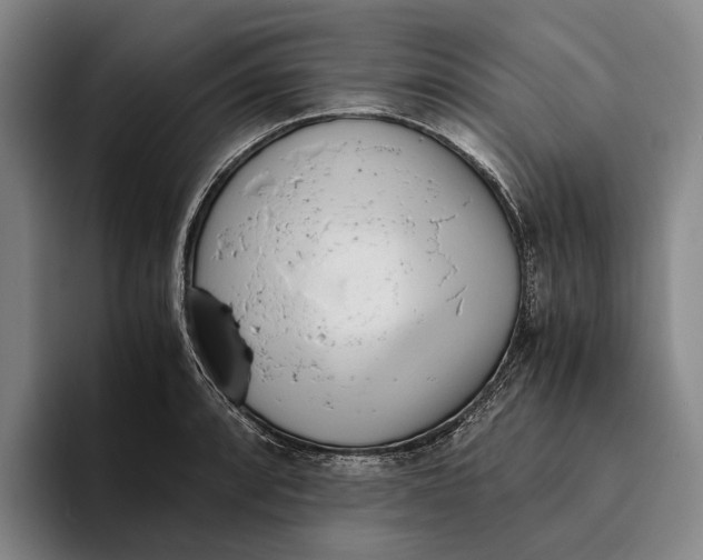 X0000096141088200802151329