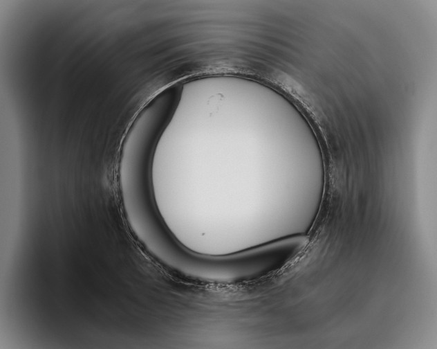 X0000096141089200802151329
