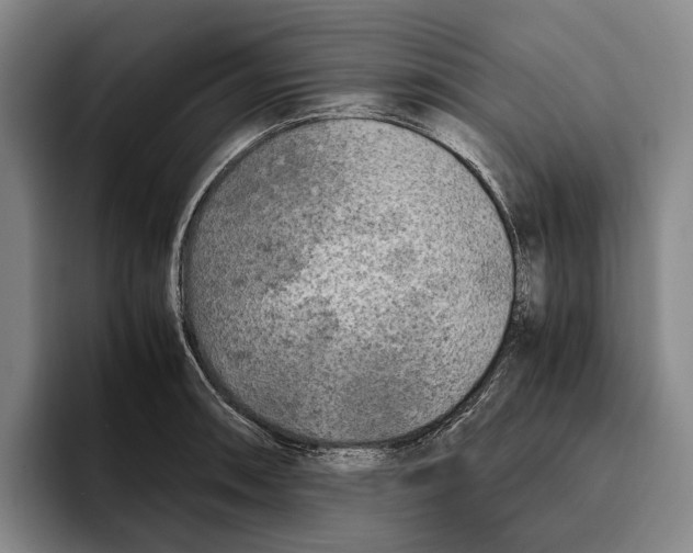 X0000096141090200802151329