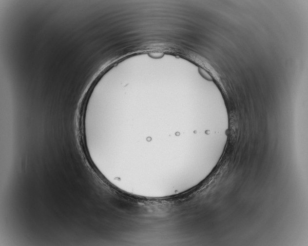 X0000096141091200802151329