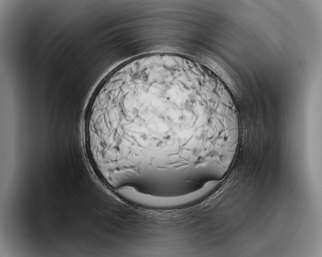 X0000096141092200802151329