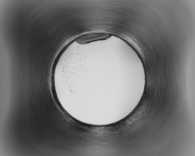 X0000096141093200802151329