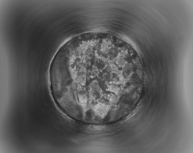 X0000096141095200802151329