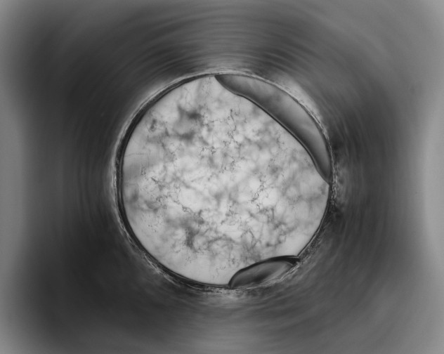 X0000096141096200802151329