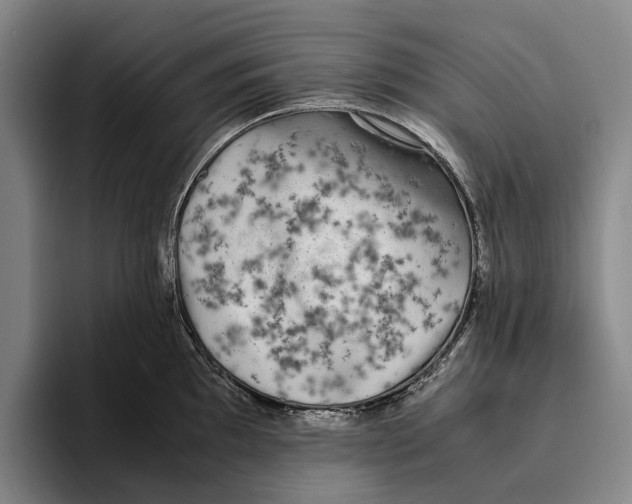 X0000096141097200802151329