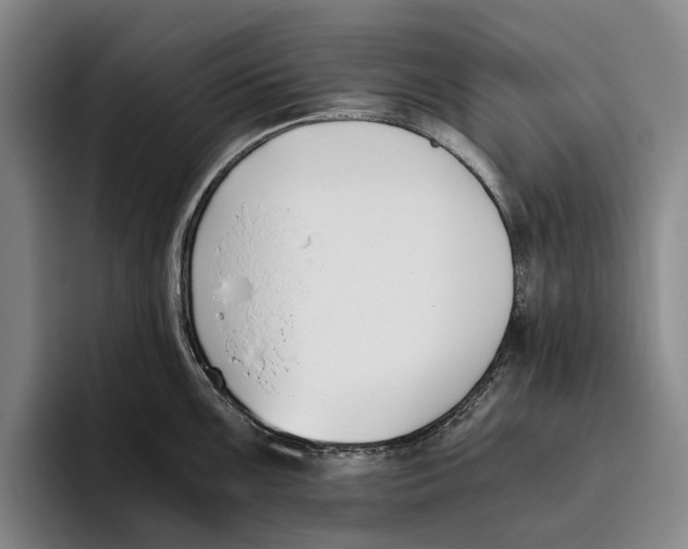 X0000096141099200802151329