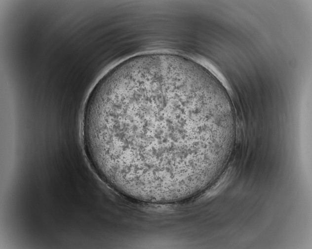 X0000096141101200802151329