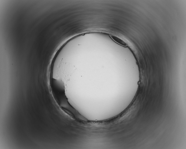 X0000096141102200802151329