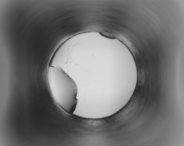 X0000096141103200802151329