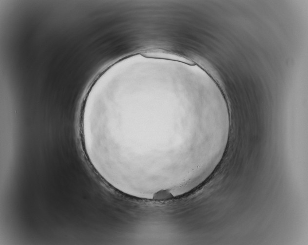 X0000096141104200802151329