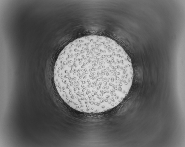 X0000096141105200802151328