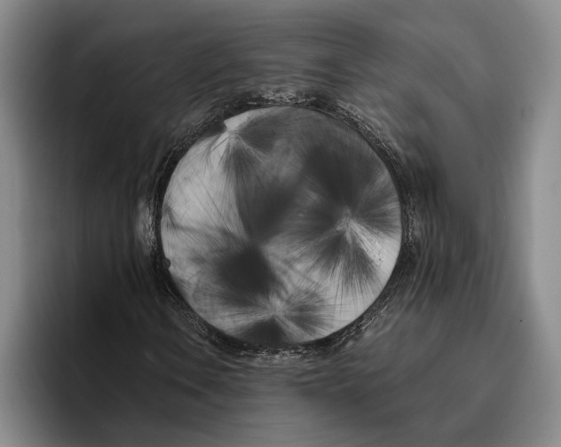 X0000096141106200802151328