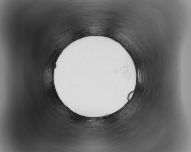 X0000096141107200802151328