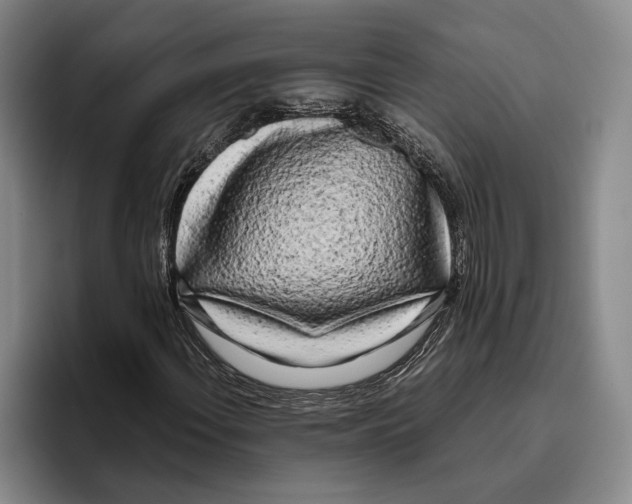X0000096141108200802151328