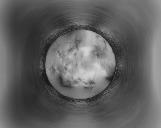 X0000096141110200802151328