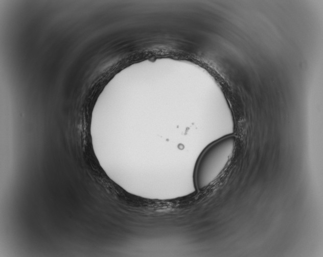 X0000096141111200802151328