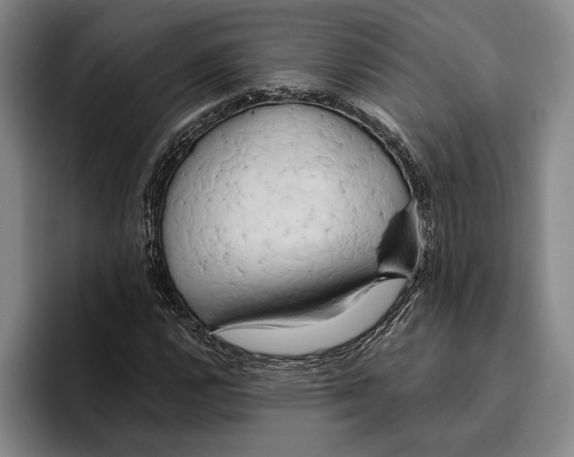 X0000096141112200802151328