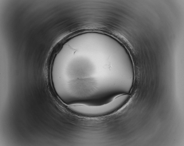 X0000096141114200802151328
