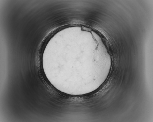 X0000096141115200802151328
