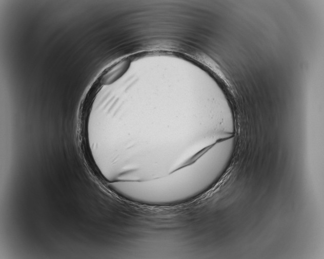 X0000096141116200802151328