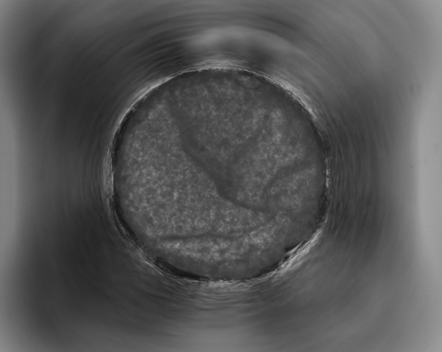 X0000096141117200802151328