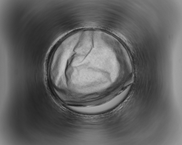 X0000096141120200802151328