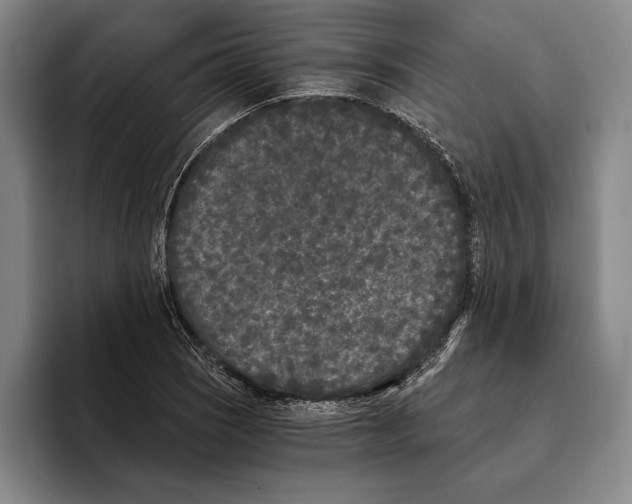 X0000096141121200802151328
