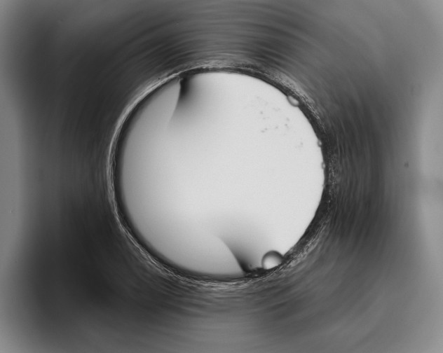 X0000096141122200802151328