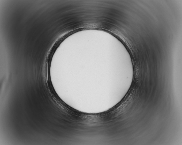 X0000096141123200802151328