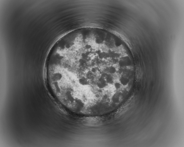 X0000096141125200802151329