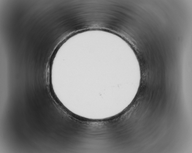 X0000096141126200802151329