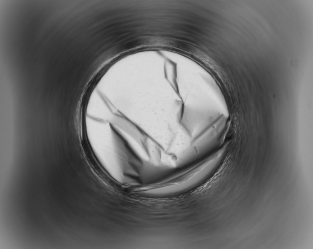 X0000096141127200802151329