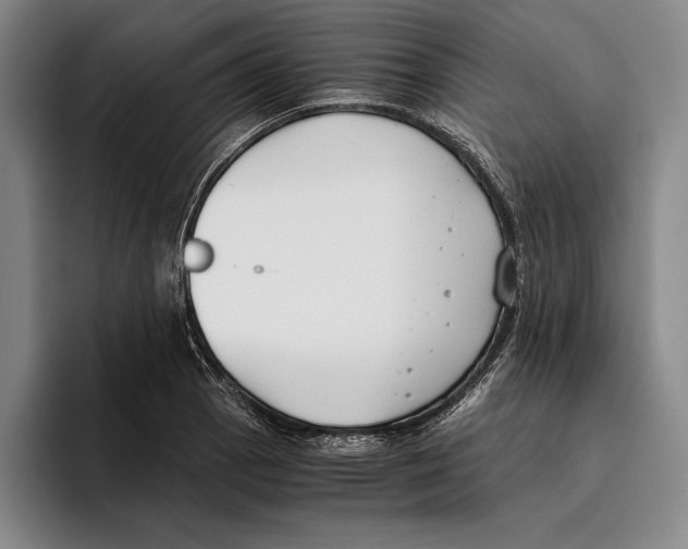 X0000096141129200802151329