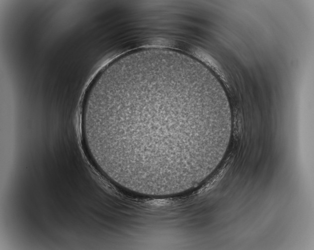 X0000096141130200802151329