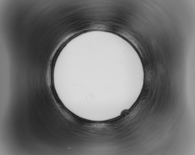 X0000096141131200802151329
