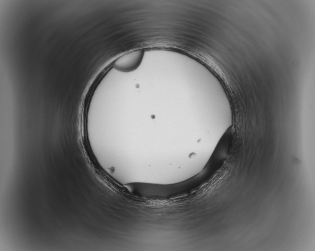 X0000096141132200802151329