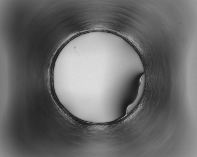 X0000096141134200802151329