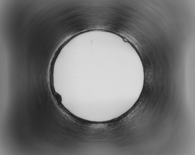 X0000096141135200802151329