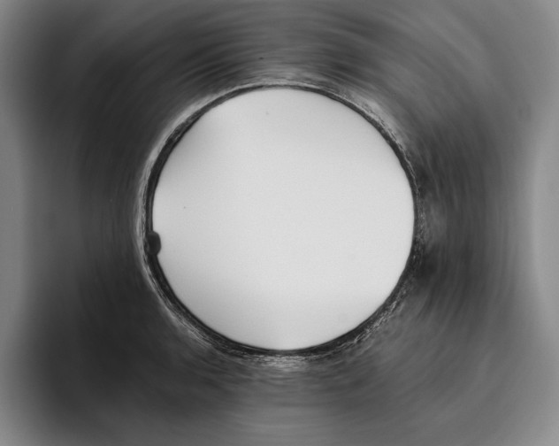X0000096141136200802151329