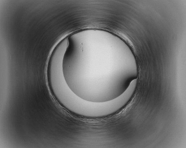 X0000096141138200802151329