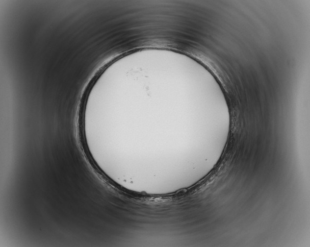 X0000096141139200802151329