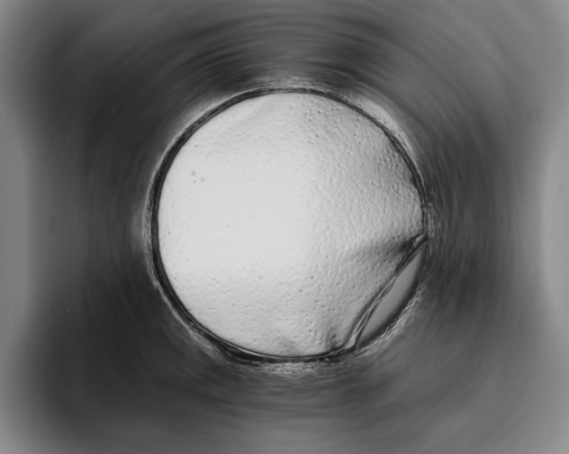 X0000096141141200802151329