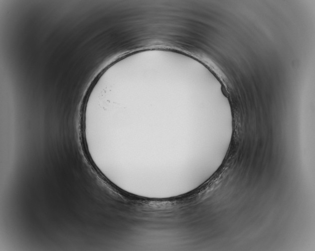 X0000096141142200802151329