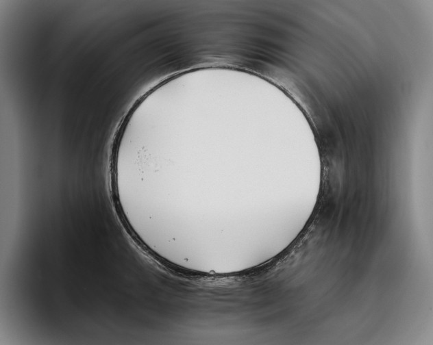 X0000096141143200802151329